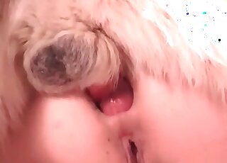 Dog s owner getting fucked