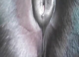 Horse's ass is the most beautiful thing ever