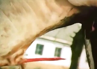 Sensual horse fucked a gorgeous cow from behind