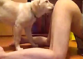 Trained doggy and a nice babe love each other so much