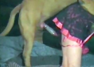 Splendid tight hole fuck scene with a hung beast
